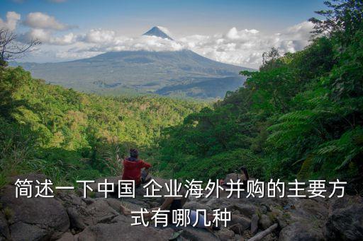 中國(guó)企業(yè)收購(gòu)?fù)鈬?guó)企業(yè)