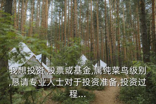 我想投資 股票或基金,屬純菜鳥級別,懇請專業(yè)人士對于投資準(zhǔn)備,投資過程...