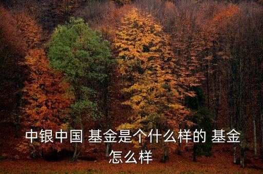 000996中銀新動(dòng)力基金持倉,中銀新動(dòng)力000996會(huì)漲嗎