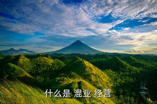 什么是 混業(yè) 經營