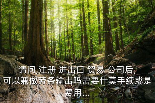 請問,注冊 進出口 貿(mào)易 公司后,可以兼做勞務(wù)輸出嗎需要什莫手續(xù)或是費用...