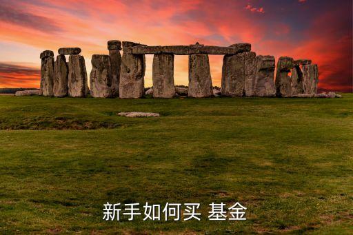 新手如何買 基金