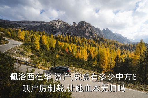 佩洛西在華 資產(chǎn),究竟有多少中方8項嚴厲制裁,讓她血本無歸嗎
