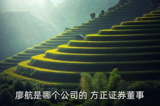 廖航是哪個公司的 方正證券董事