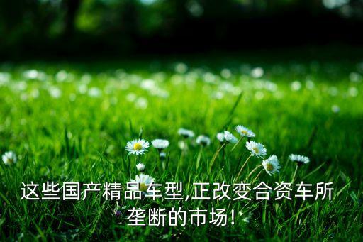 這些國(guó)產(chǎn)精品車型,正改變合資車所 壟斷的市場(chǎng)!