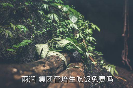  雨潤 集團管培生吃飯免費嗎