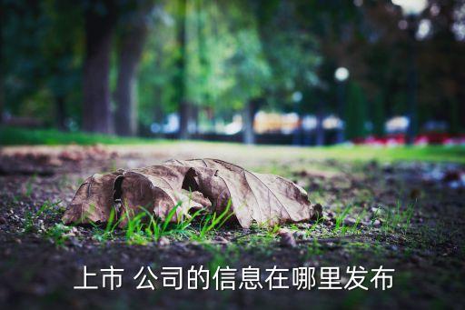 上市公司每日公告,怎么了解上市公司每日動態(tài)
