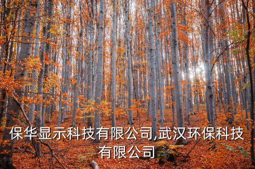 武漢保華顯示科技有限公司,武漢環(huán)?？萍加邢薰?/></a></span><span id=