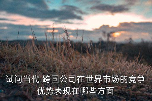 試問當代 跨國公司在世界市場的競爭優(yōu)勢表現(xiàn)在哪些方面
