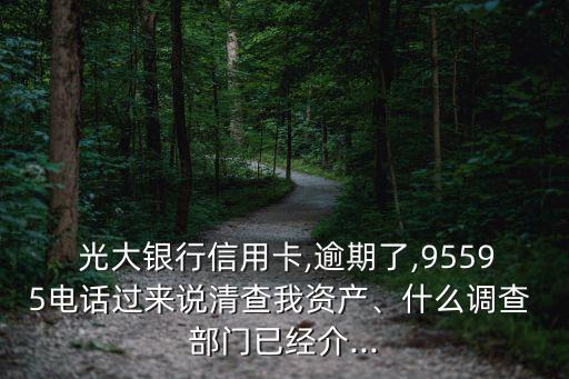  光大銀行信用卡,逾期了,95595電話過(guò)來(lái)說(shuō)清查我資產(chǎn)、什么調(diào)查 部門已經(jīng)介...