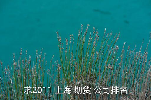 上海金融期貨技術公司,程紅星 上海金融期貨