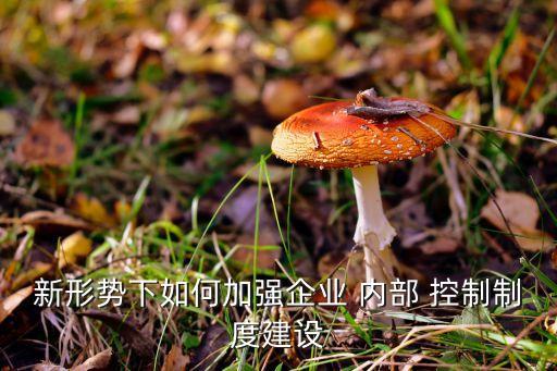 新形勢(shì)下如何加強(qiáng)企業(yè) 內(nèi)部 控制制度建設(shè)
