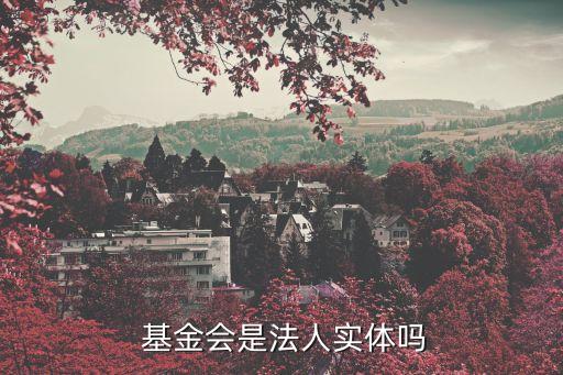  基金會是法人實(shí)體嗎