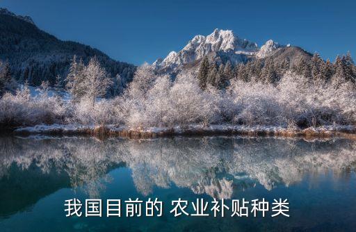 我國目前的 農業(yè)補貼種類