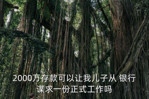 2000萬(wàn)存款可以讓我兒子從 銀行謀求一份正式工作嗎