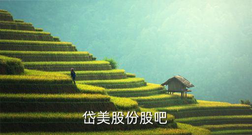 上海岱美上市進(jìn)展情況,上海超硅上市進(jìn)展如何