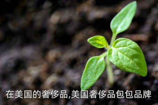 中國在美國的奢侈品,美國奢侈品包包品牌