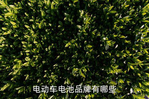 電動車電池品牌有哪些