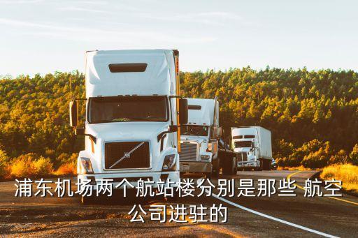 純貨運(yùn)航空公司,國(guó)內(nèi)貨運(yùn)航空公司有哪些