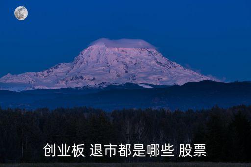 創(chuàng)業(yè)板 退市都是哪些 股票