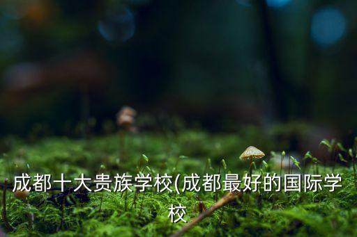 成都十大貴族學校(成都最好的國際學校