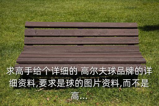 求高手給個詳細的 高爾夫球品牌的詳細資料,要求是球的圖片資料,而不是高...