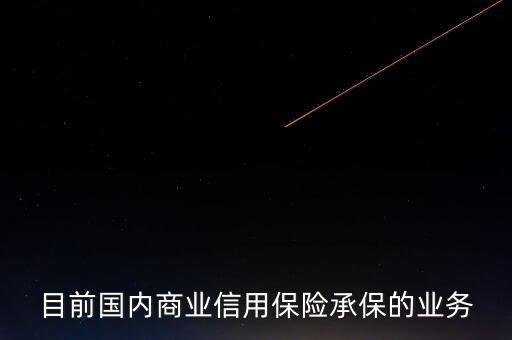 目前國內商業(yè)信用保險承保的業(yè)務
