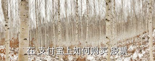在 支付寶上如何購(gòu)買(mǎi) 股票