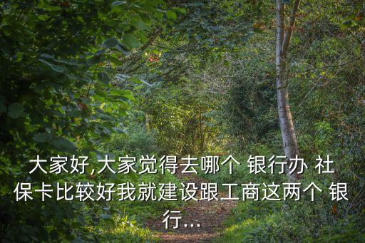 大家好,大家覺得去哪個(gè) 銀行辦 社保卡比較好我就建設(shè)跟工商這兩個(gè) 銀行...