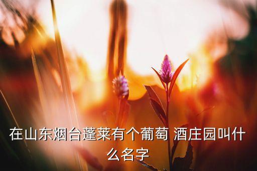 中糧君頂酒莊有限公司,煙臺中糧君頂酒莊