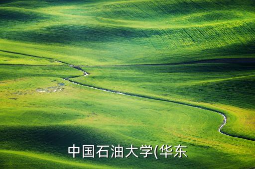 中國(guó)石油大學(xué)(華東
