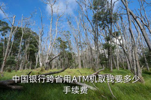 中國銀行異地取款收費(fèi),農(nóng)行卡到中國銀行取款收費(fèi)嗎
