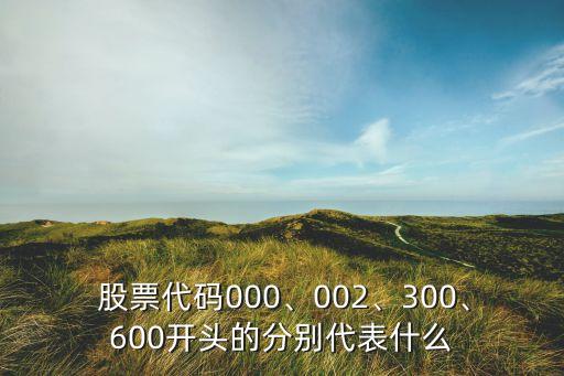  股票代碼000、002、300、600開頭的分別代表什么