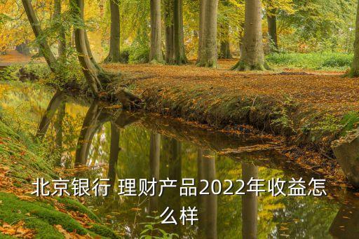 北京銀行 理財產(chǎn)品2022年收益怎么樣