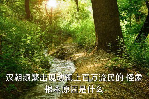 漢朝頻繁出現(xiàn)動(dòng)輒上百萬流民的 怪象根本原因是什么