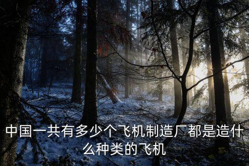 中國一共有多少個飛機(jī)制造廠都是造什么種類的飛機(jī)