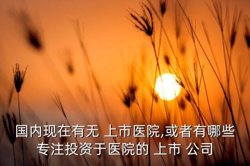 國(guó)內(nèi)現(xiàn)在有無 上市醫(yī)院,或者有哪些專注投資于醫(yī)院的 上市 公司