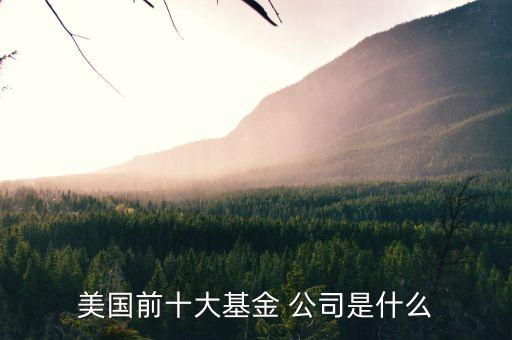 美國(guó)前十大基金 公司是什么