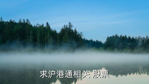 求滬港通相關 股票