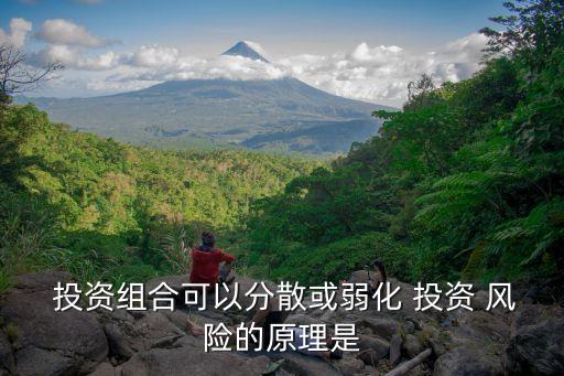  投資組合可以分散或弱化 投資 風(fēng)險的原理是
