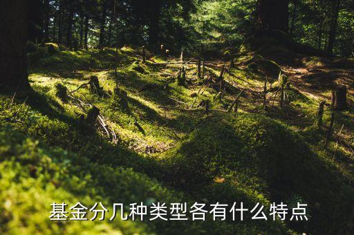  基金分幾種類型各有什么特點(diǎn)