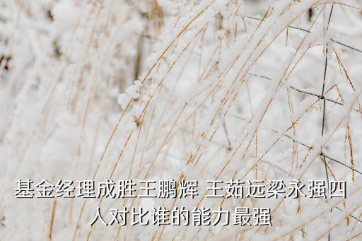 資本大佬投資年報盤點之王茹遠(yuǎn)