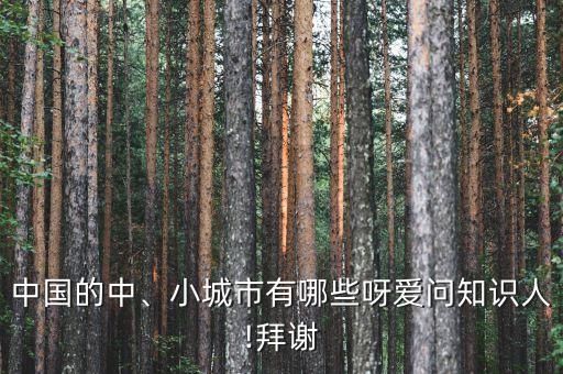 中國的中、小城市有哪些呀愛問知識人!拜謝