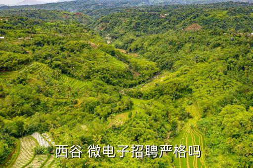  西谷 微電子招聘嚴格嗎