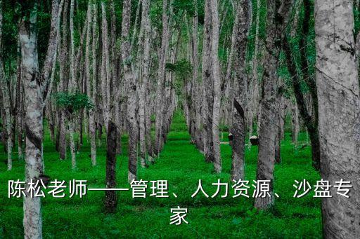 陳松老師——管理、人力資源、沙盤專家