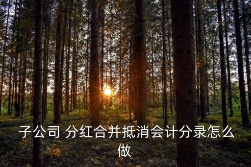  子公司 分紅合并抵消會(huì)計(jì)分錄怎么做