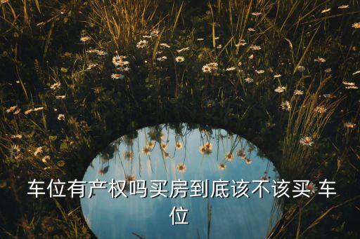  車位有產(chǎn)權(quán)嗎買房到底該不該買 車位