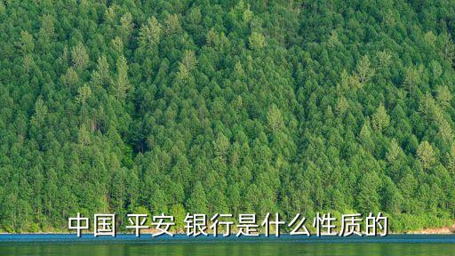 中國 平安 銀行是什么性質的