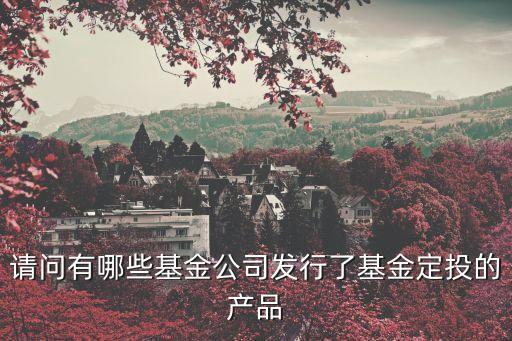 請問有哪些基金公司發(fā)行了基金定投的產(chǎn)品