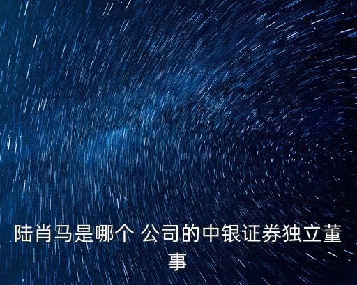 陸肖馬是哪個 公司的中銀證券獨(dú)立董事